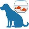 Pets & Pet Care